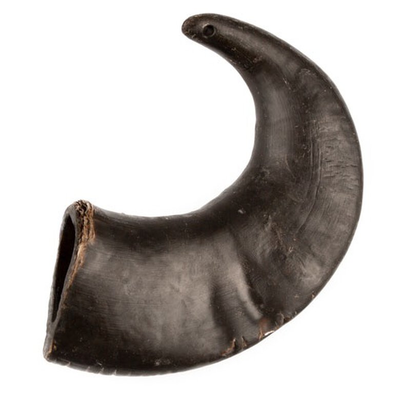 Cuerno de bufalo