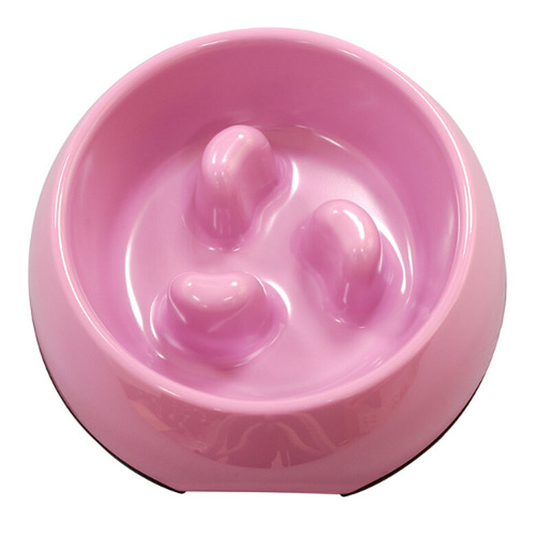 Comedero Antivoracidad